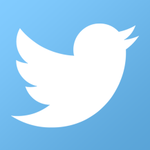 Twitter-icon c8fe5